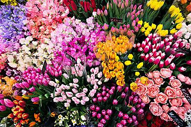 《艾尔登法环：黑夜君临》DLC泄露 将有额外职业和Boss