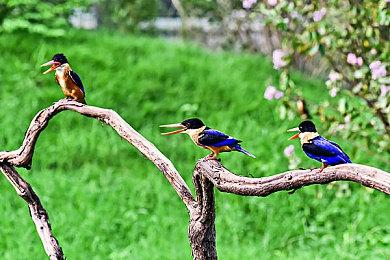 《心灵杀手2》两位男女主角20分钟试玩录像